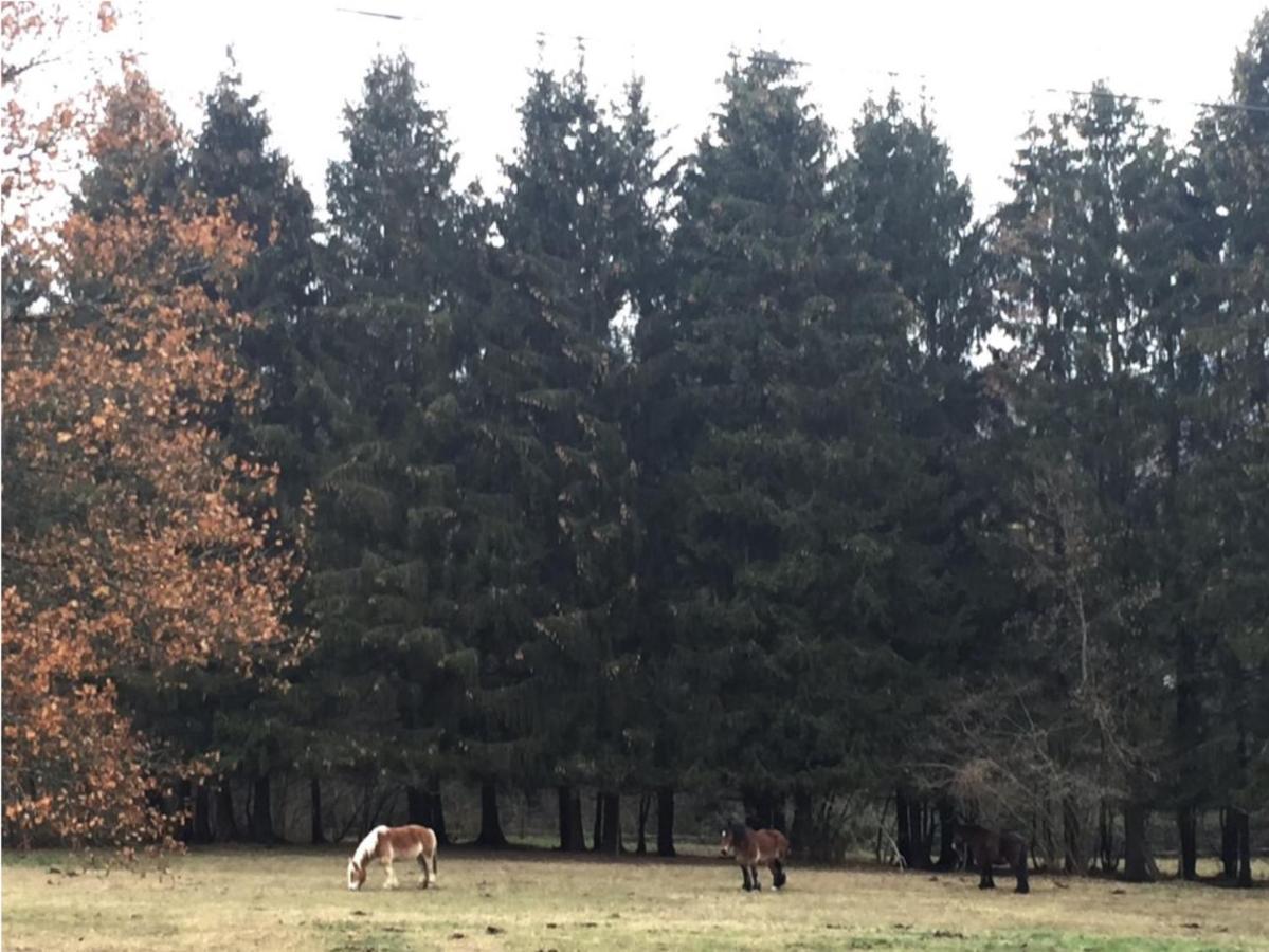 Willa La Chenaie Vresse-sur-Semois Zewnętrze zdjęcie